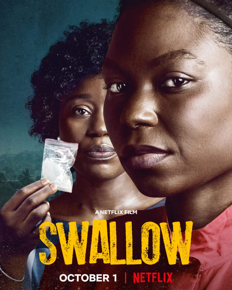 swallow cover 1229x1536